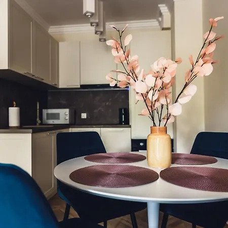 Apartamenty Willa Matejki Przemyśl Esterno foto